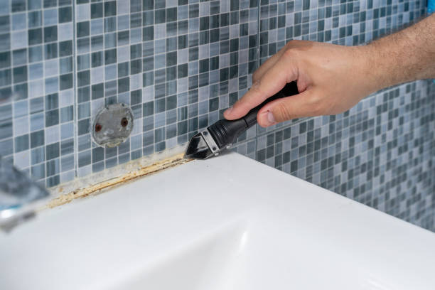 Best Kitchen Mold Remediation in Park City, KS