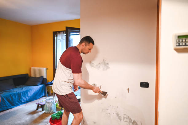 Best Mold Remediation for Schools in Park City, KS